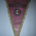 FIGC  Comitato Regionale  FVG D00